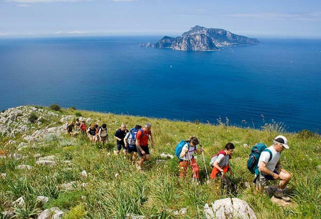 La Zagara Bianca Villa Massa Lubrense Dış mekan fotoğraf
